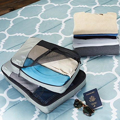 Amazonbasics 4-Piece Packing Cube Set - 2 Medium And 2 Large, Gray