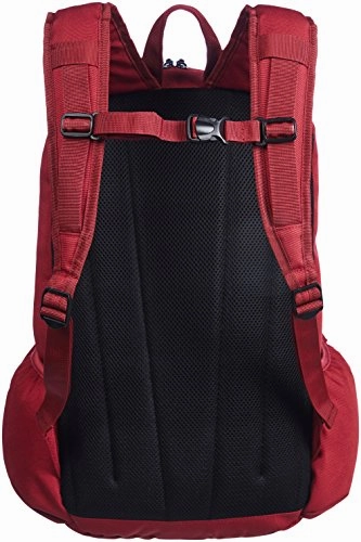Amazonbasics Canvas Backpack For Laptops Up To 15-Inches - Deep Red