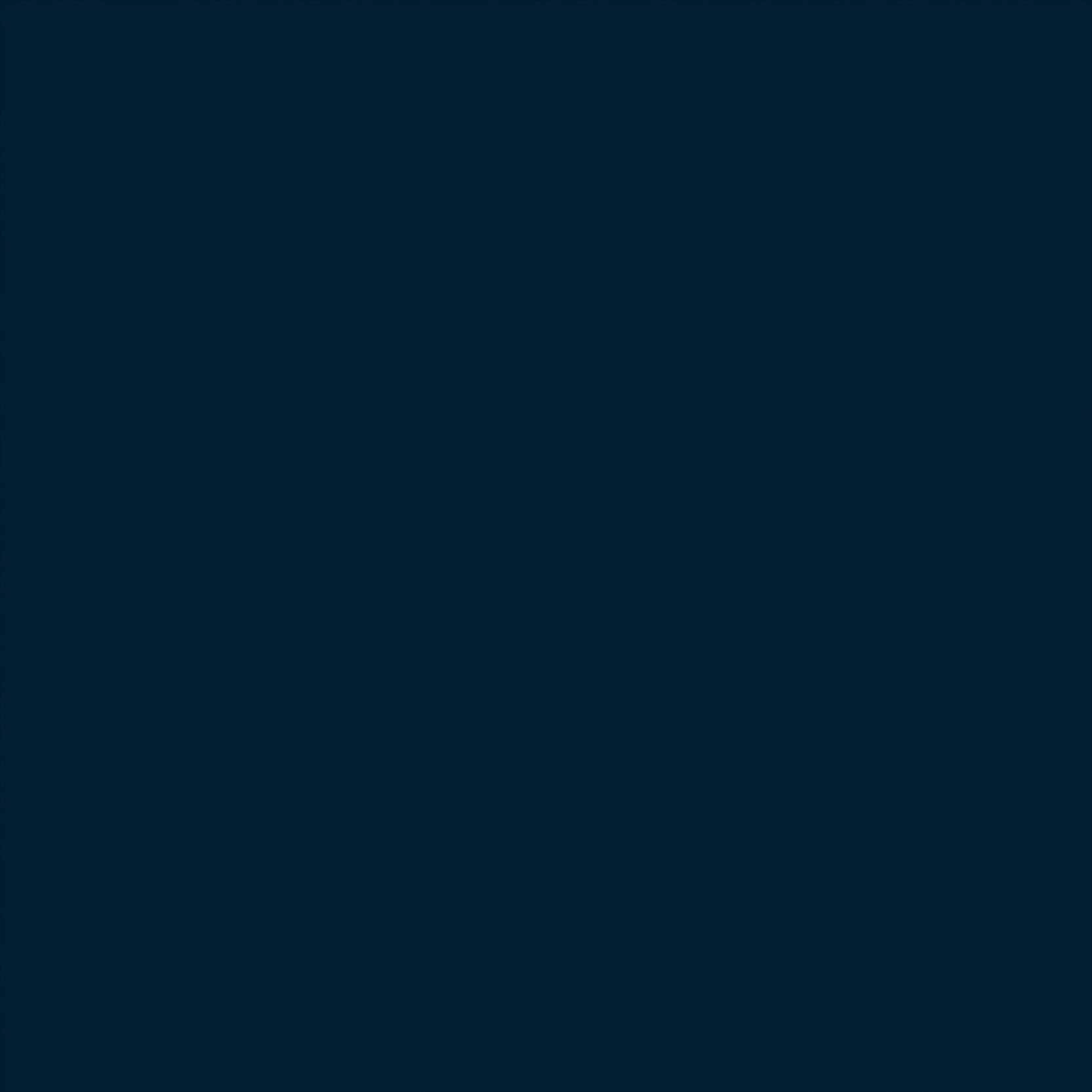 AmazonBasics Hard Shell Carry On Spinner Suitcase Luggage - 24 Inch, Navy Blue
