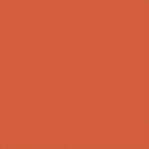 AmazonBasics Hardside Carry On Spinner Travel Luggage Suitcase - 21 Inch, Orange