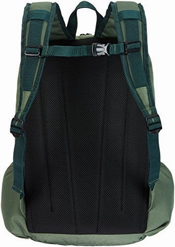 Amazonbasics Sp-12867-42034-Dr Canvas Backpack For Laptops Up To 15-Inches - Forest Green