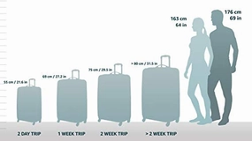 American Tourister Ilite Max Softside Spinner 25, Light Blue Checks