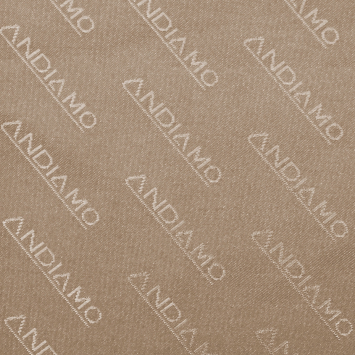 Andiamo Avanti 20In Carry On Spinner