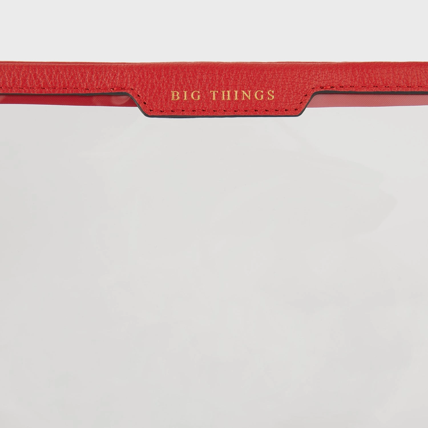 Big Things Pouch