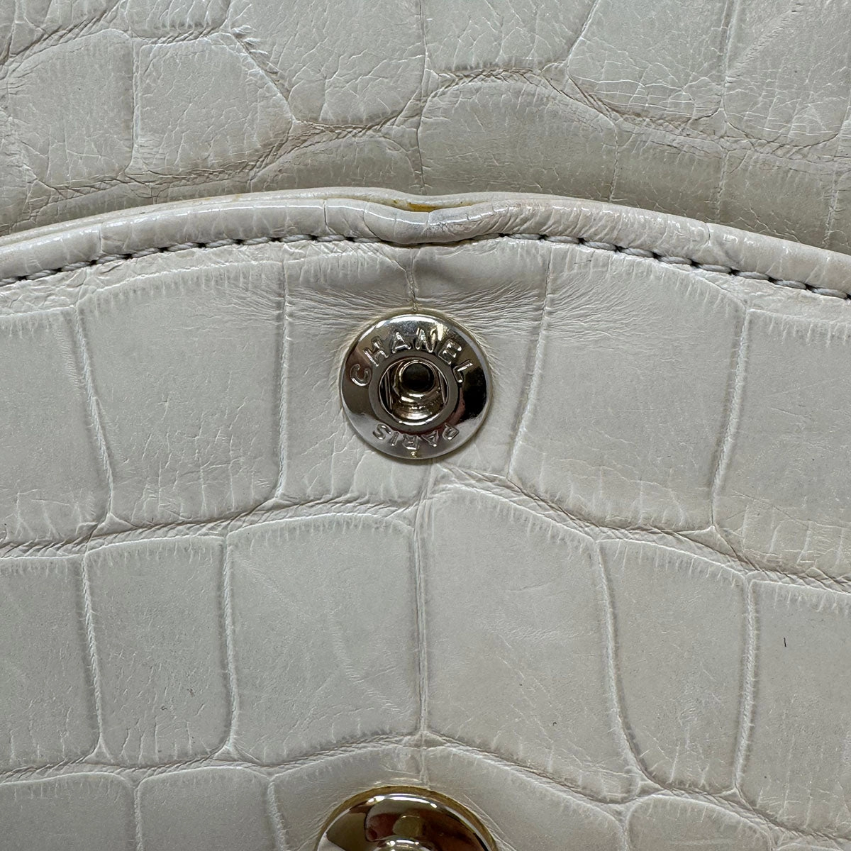 Chanel Medium Alligator Classic Double Flap Bag