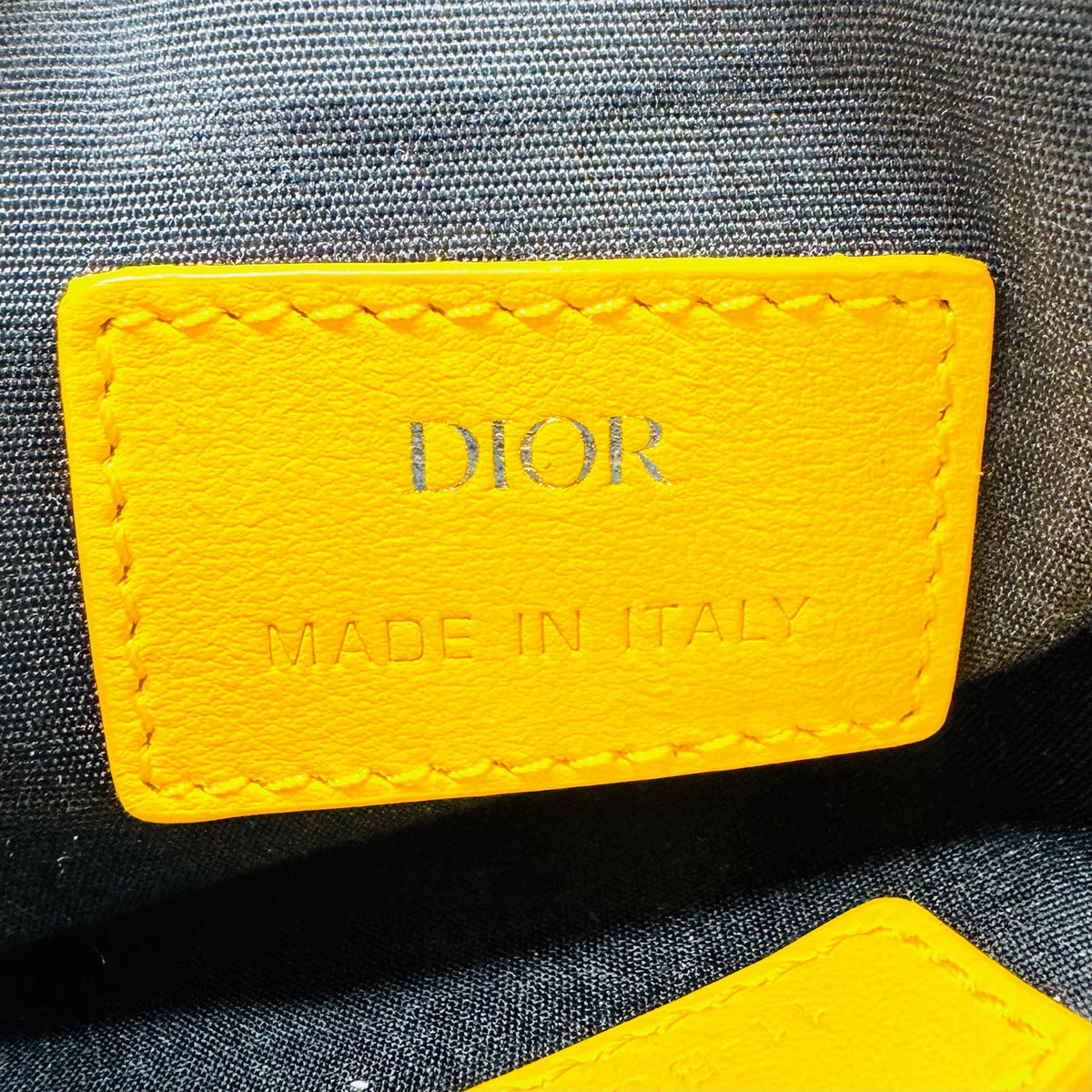 Christian Dior World Tour Crossbody