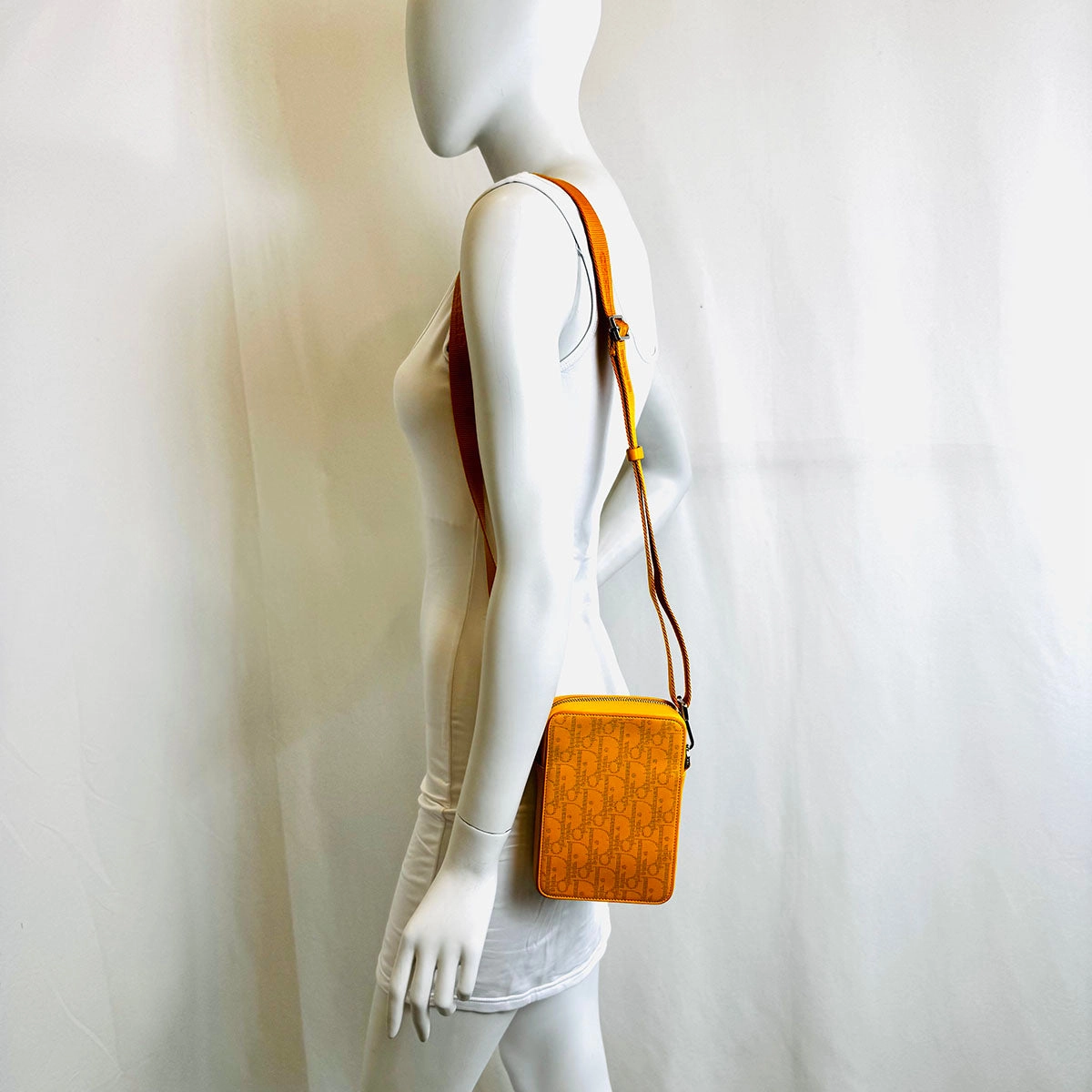 Christian Dior World Tour Crossbody