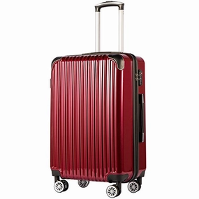 COOLIFE Luggage Expandable(only 28") Suitcase PC ABS Spinner 20in 24in 28in Carry on (Wine Wind New, M(24in))