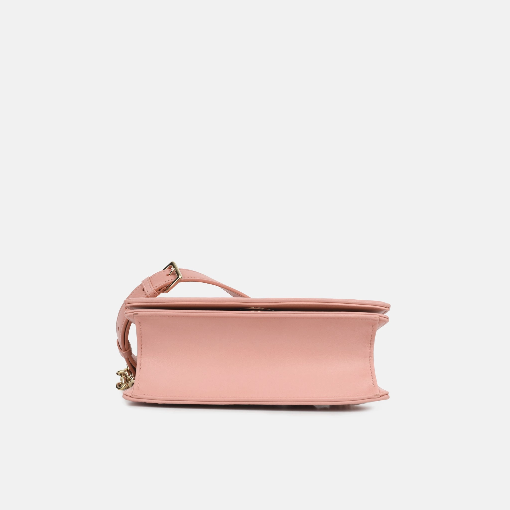 Dior Small Diorama - Studded Rose