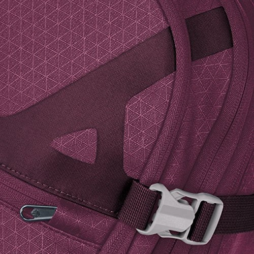 Eagle Creek Gear Warrior AWD 22 Inch Carry-on Luggage, Concord