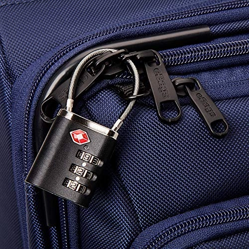 eBags Professional Spinner Carry-on (Black)