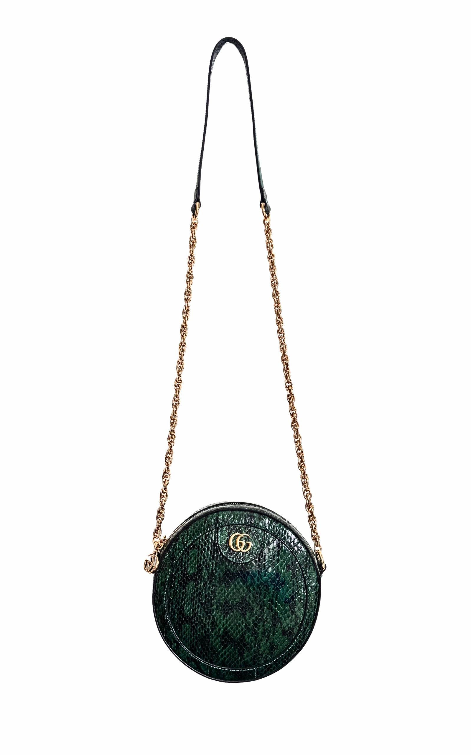 GG Marmont Exotic Leather Bag