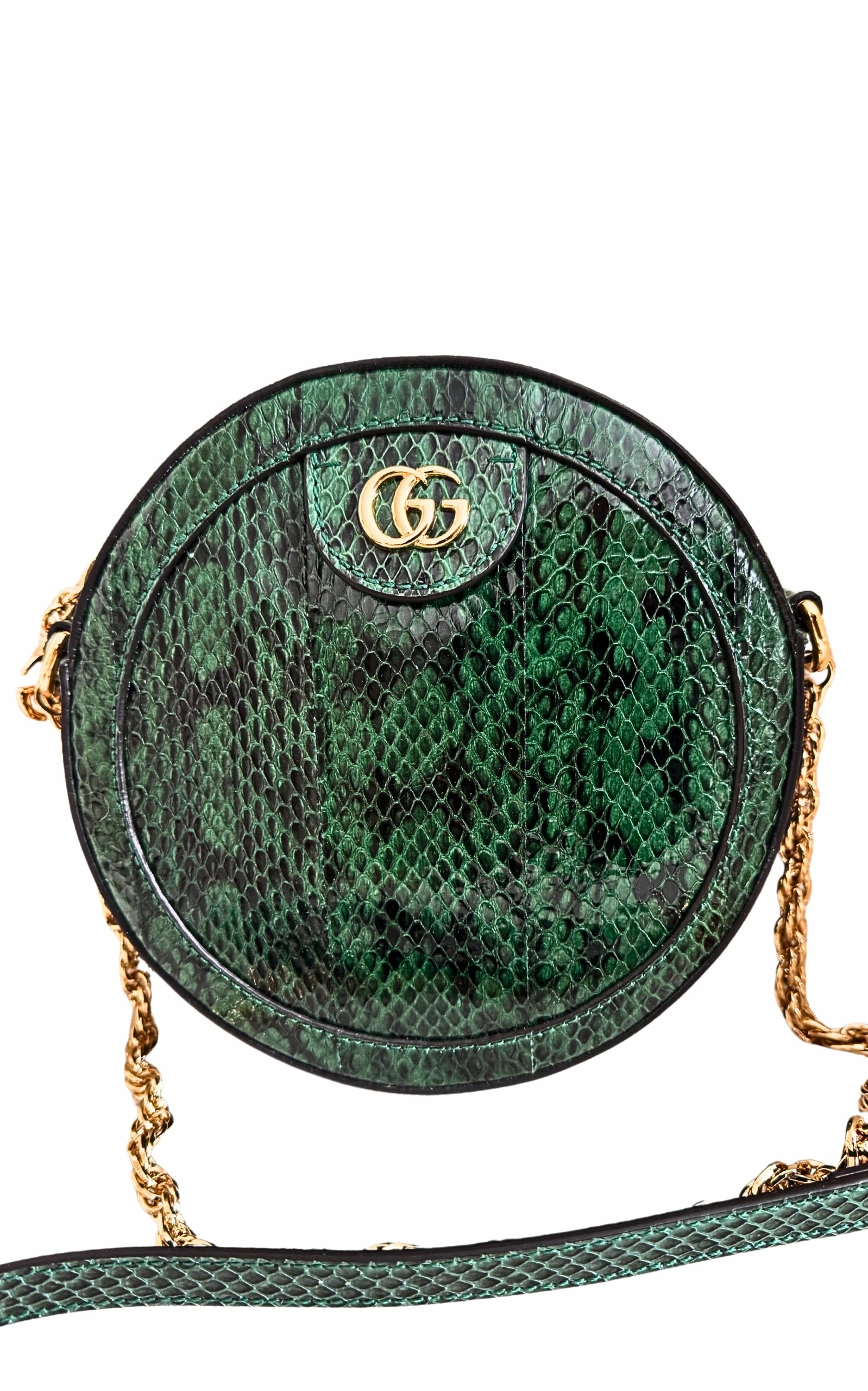 GG Marmont Exotic Leather Bag