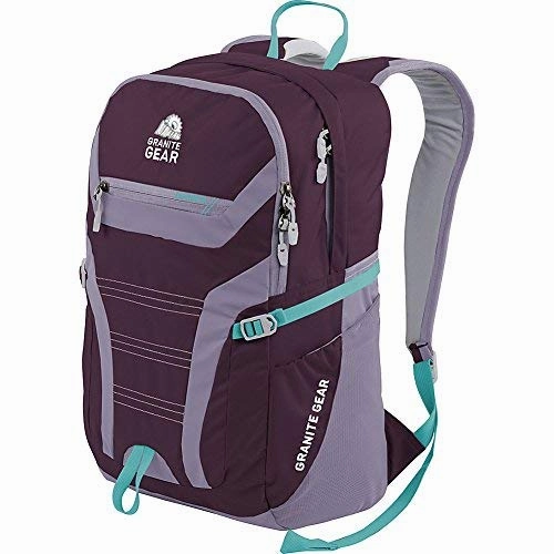 Granite Gear Champ Laptop Backpack (Gooseberry/lilac/Stratos)