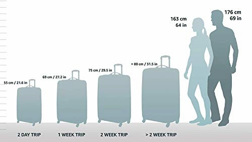Hartmann Vigor 2 Hardside Extended Journey, Glacial Silver