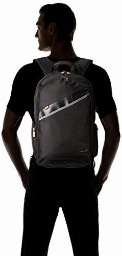 Hedgren Framework Bundled 15" Backpack With Retractable Cable