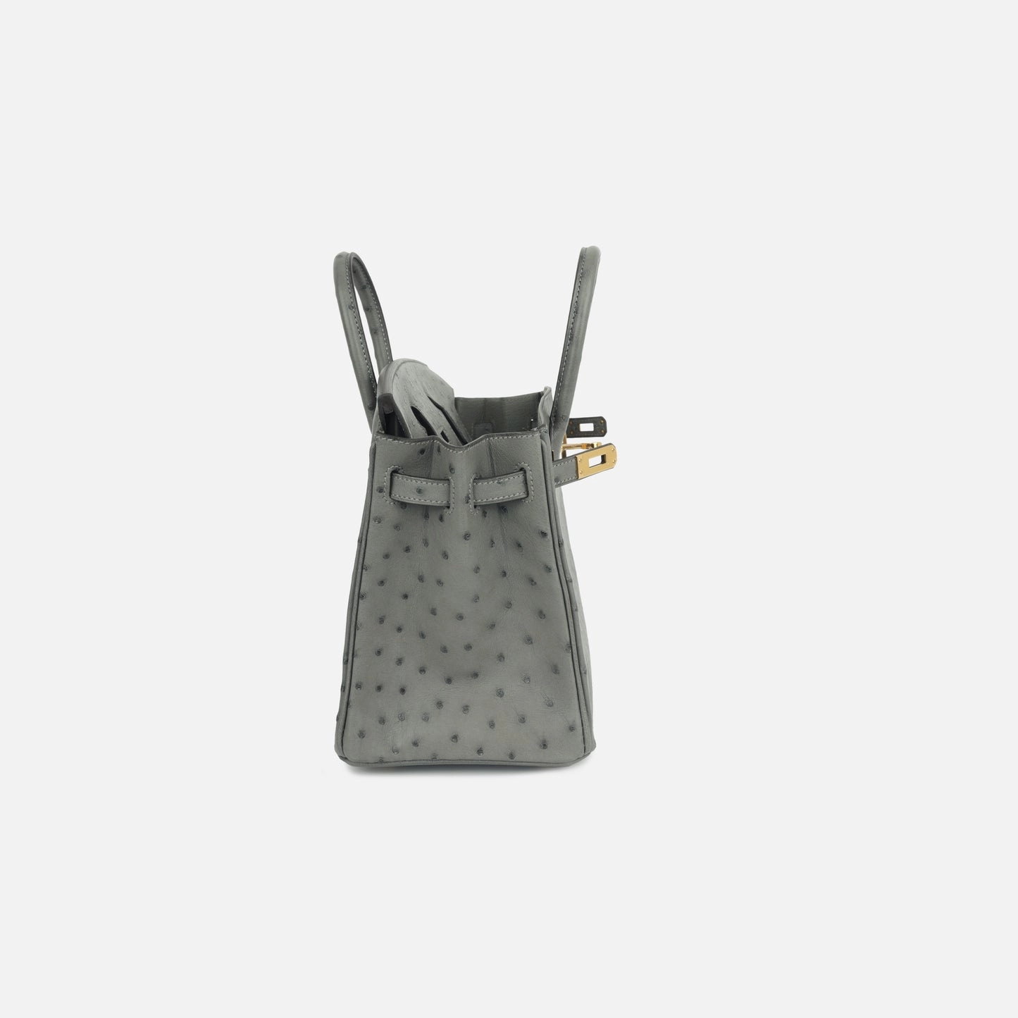 Herms Herms - Birkin 25 - Gris Meyer Ostrich GHW - 2024 - Brand New