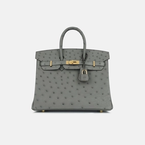 Herms Herms - Birkin 25 - Gris Meyer Ostrich GHW - 2024 - Brand New