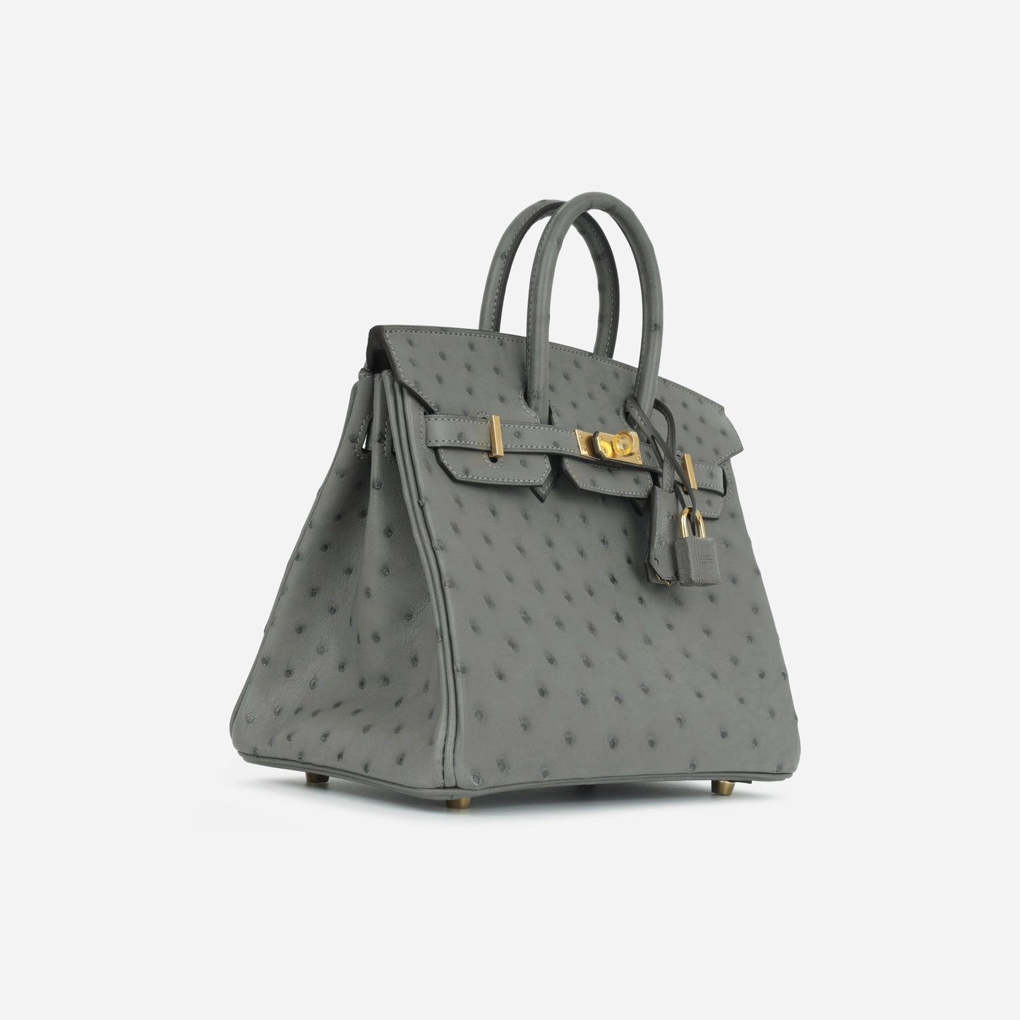 Herms Herms - Birkin 25 - Gris Meyer Ostrich GHW - 2024 - Brand New