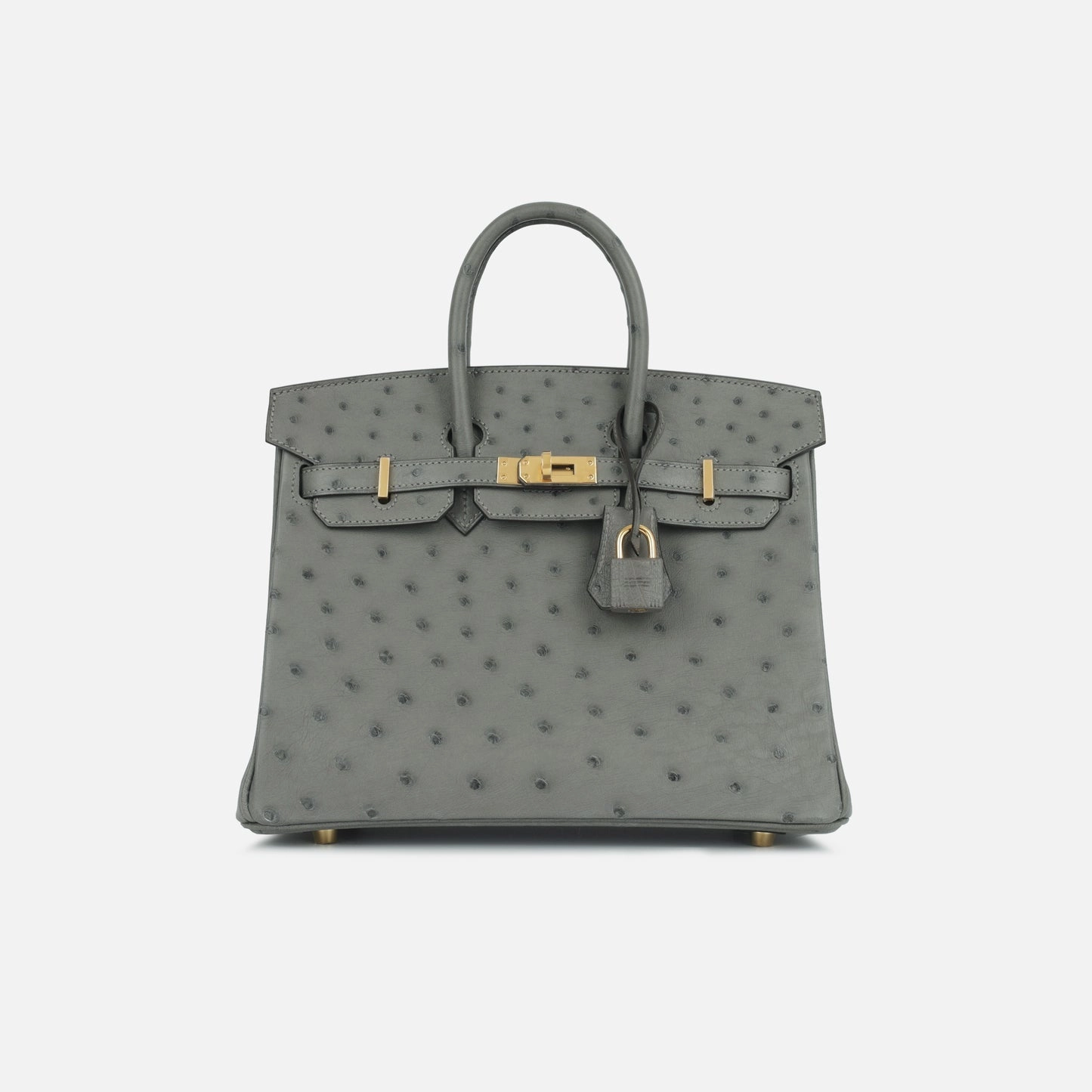 Herms Herms - Birkin 25 - Gris Meyer Ostrich GHW - 2024 - Brand New