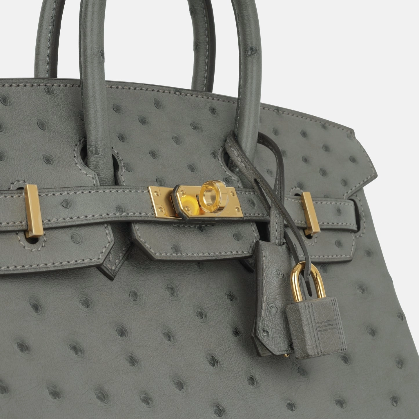 Herms Herms - Birkin 25 - Gris Meyer Ostrich GHW - 2024 - Brand New