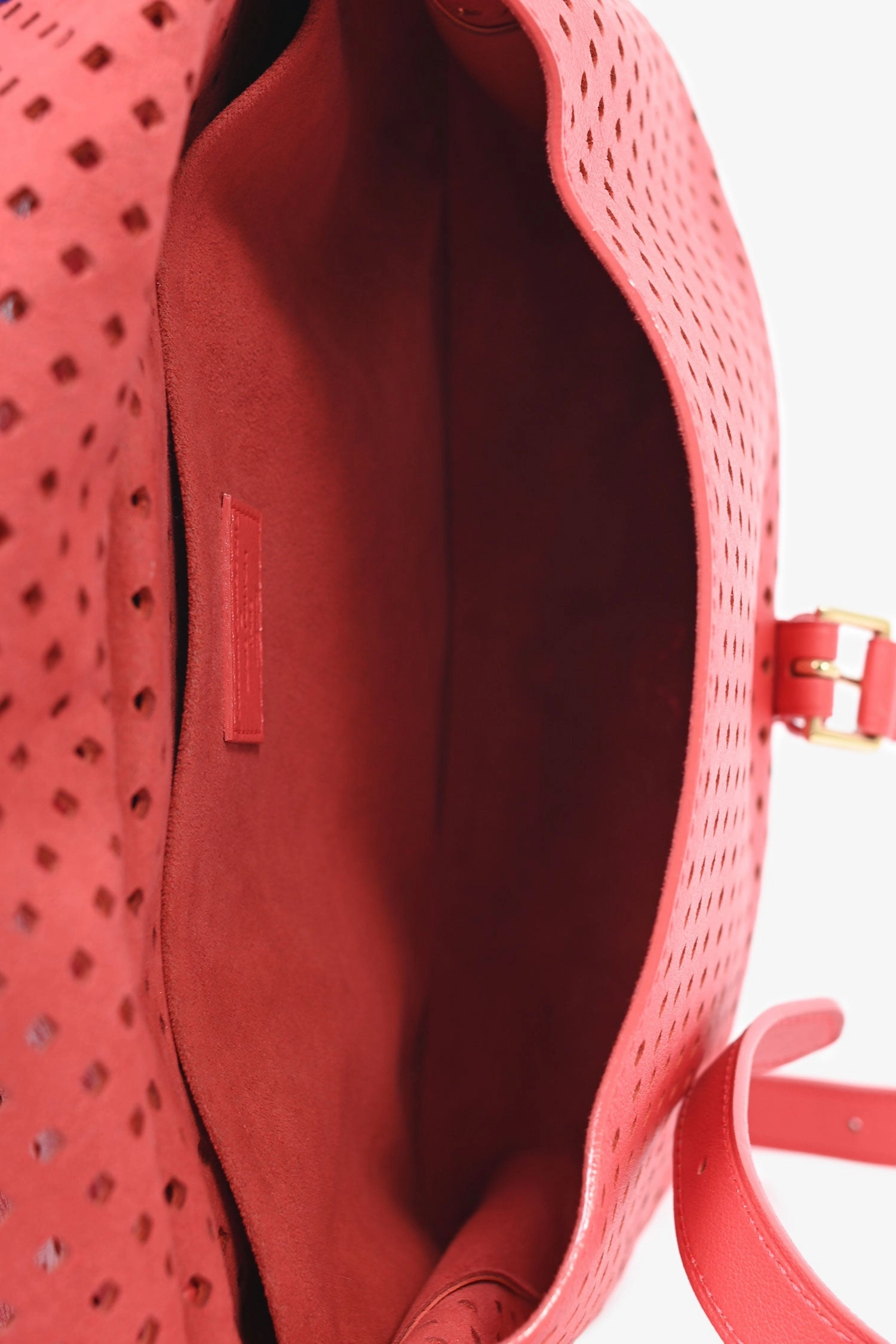 Louis Vuitton Coral Coppola Flore Perforated Saumur Messenger Bag