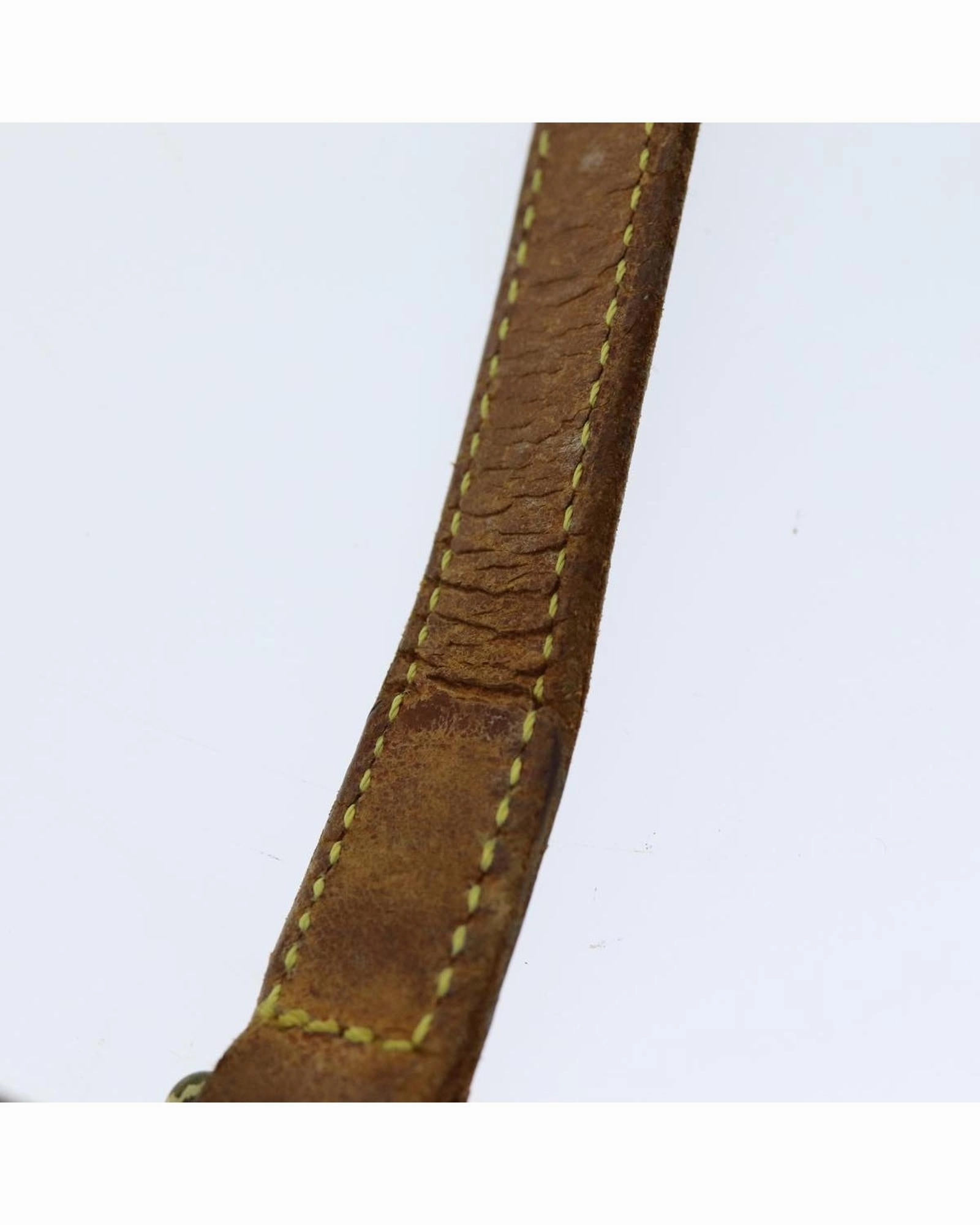 Monogram Canvas Crossbody Bag