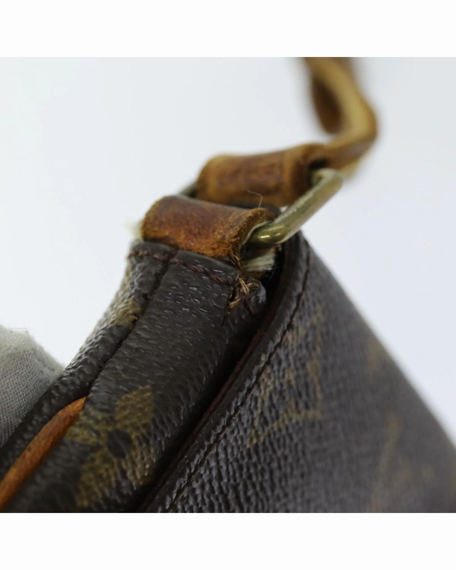 Monogram Canvas Crossbody Bag