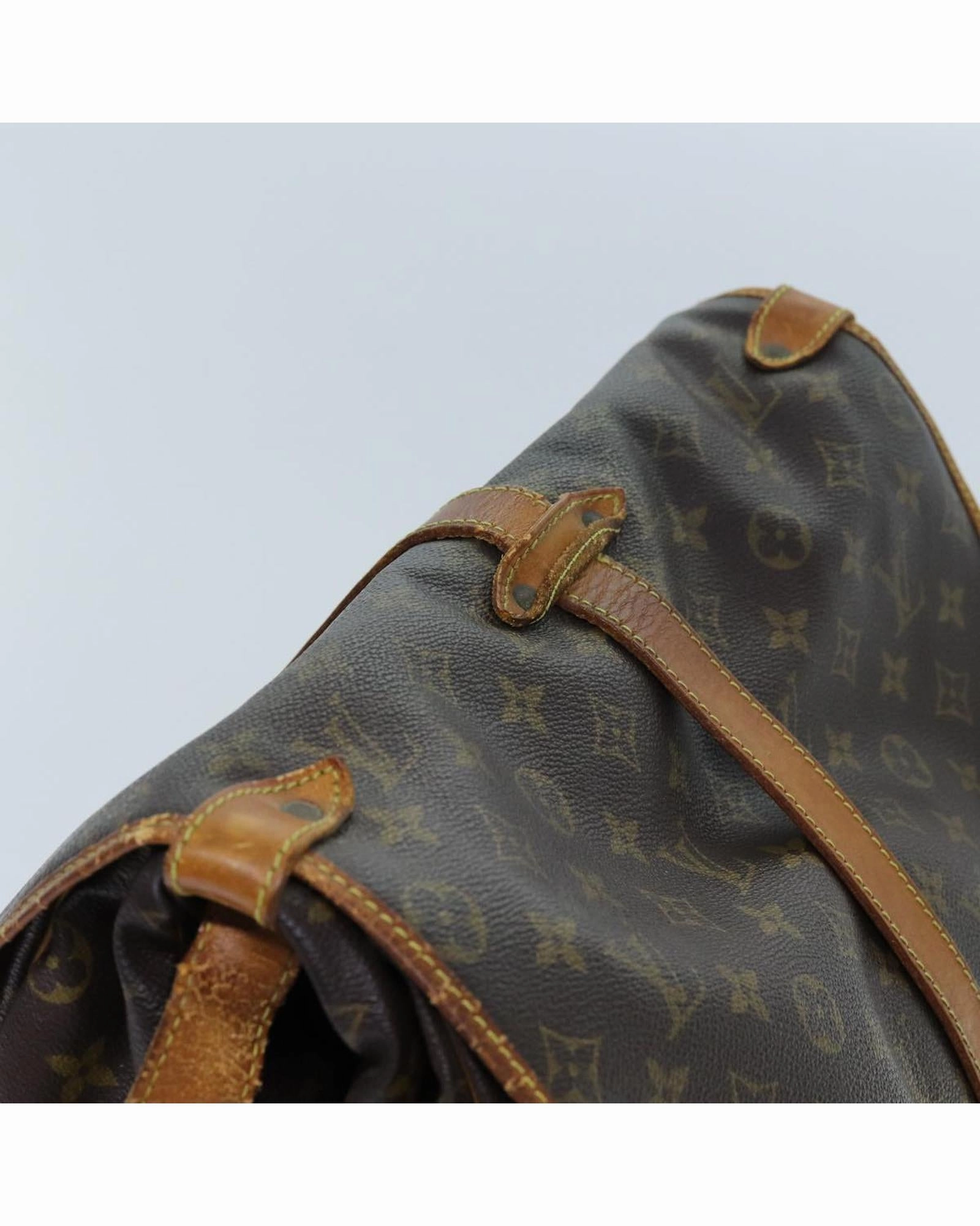Monogram Canvas Crossbody Bag