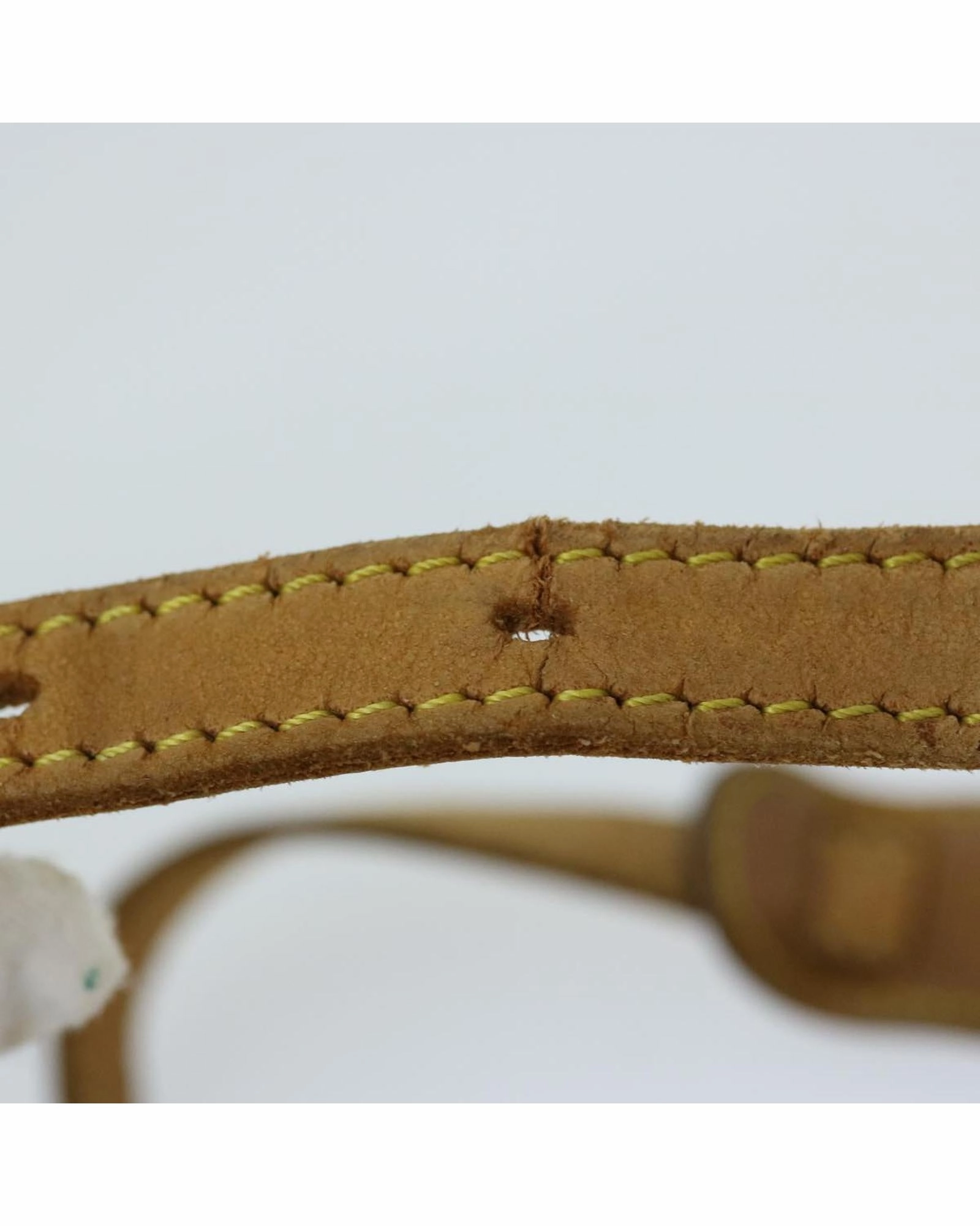 Monogram Pochette Crossbody Bag