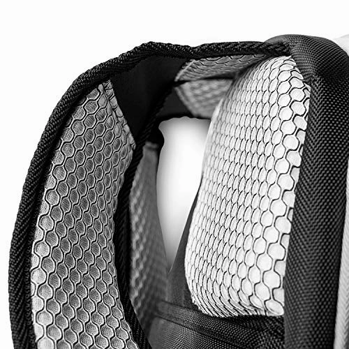 NHL Carolina Hurricanes Colored Trim Premium Laptop Backpack