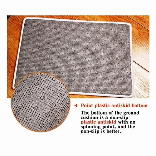 Non Slip Door Mat Outdoor,Decorative Garden Office Bathroom Door Mat with Non Slip, Entry Way