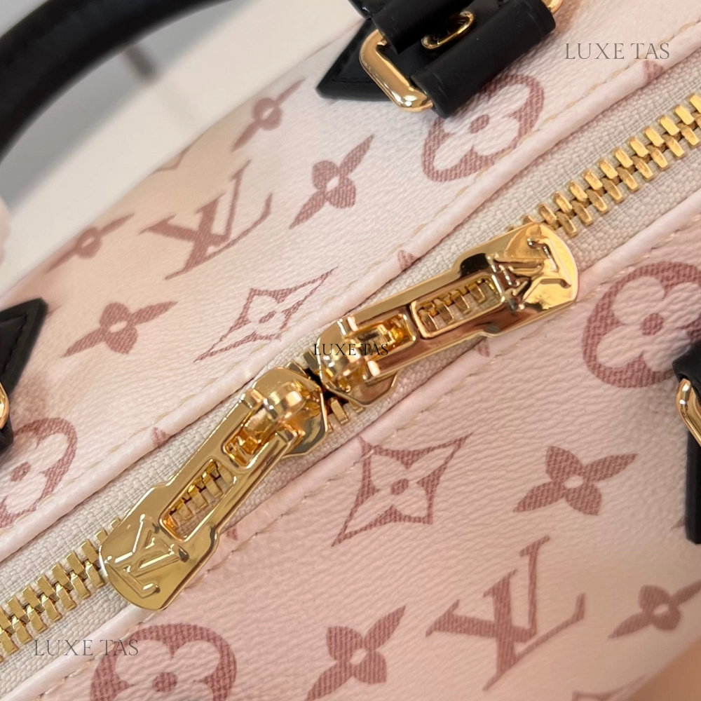 Other Monogram Canvas Speedy Bandoulire 20 Leather Crossbody Bag for Women