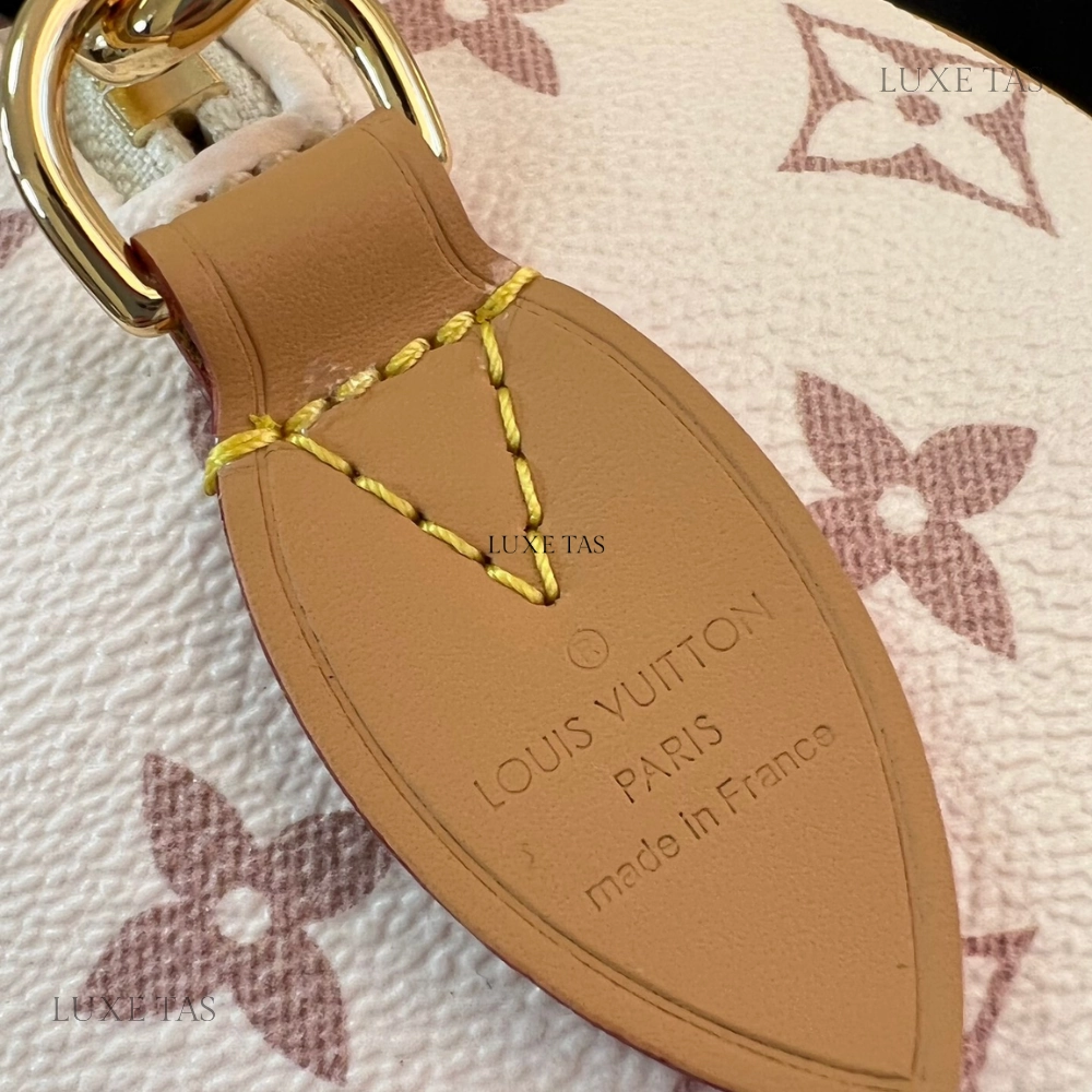 Other Monogram Canvas Speedy Bandoulire 20 Leather Crossbody Bag for Women