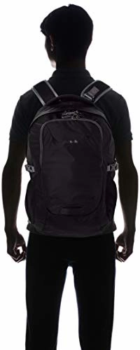 Pacsafe Venturesafe G3 25 Liter Anti Theft Travel Backpack / Daypack - Fits 17 inch Laptop, Black