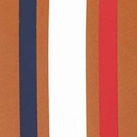 Passport Sleeve