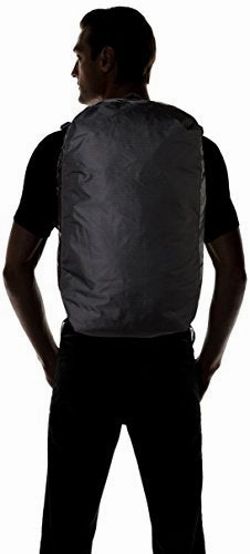 Patagonia Lightweight Black Hole Duffel 45L (Black)