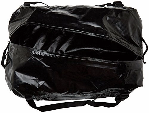 Patagonia Lightweight Black Hole Duffel 45L (Black)