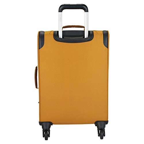 Skyway Whidbey 20-Inch Spinner Carry-On (Honey)