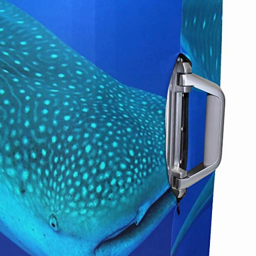 Suitcase Cover Belize Whale Sharks Luggage Cover Travel Case Bag Protector for Kid Girls