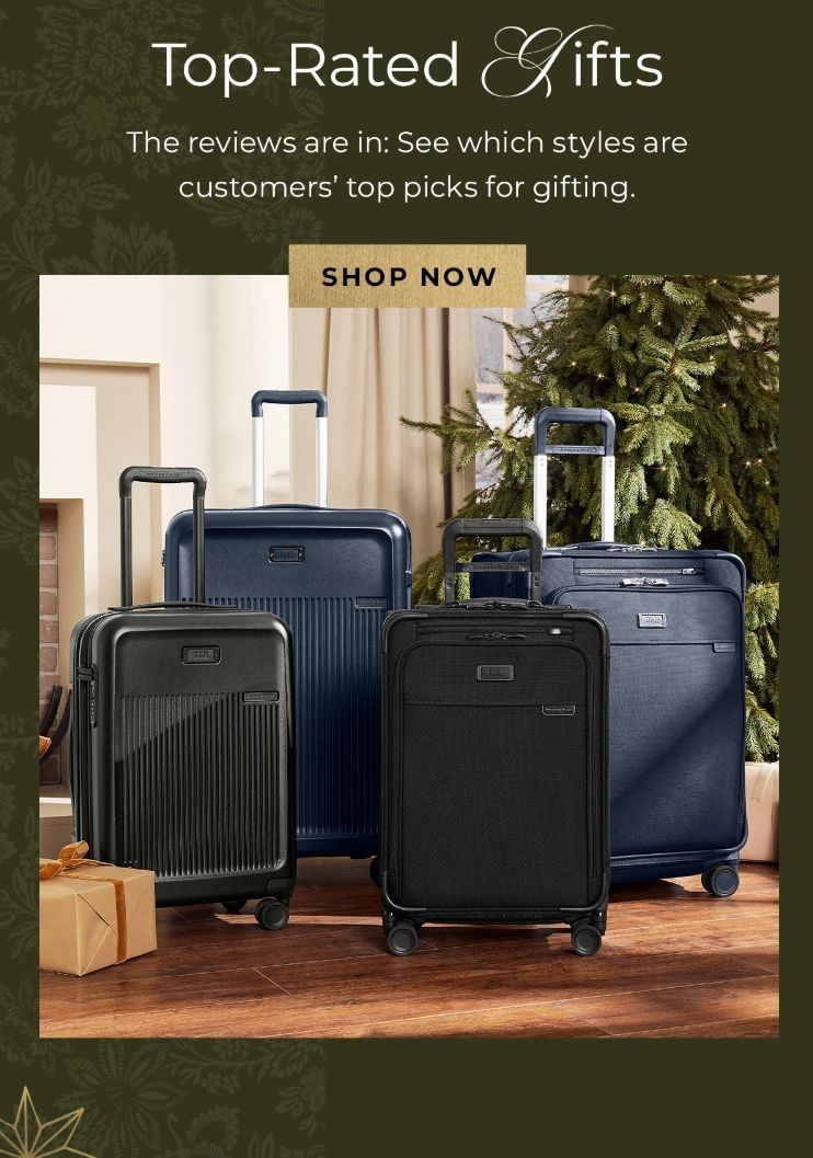 Sympatico Global 21" carry on spinner