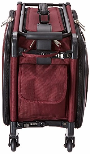 Tutto 20 Inch Retulation Carry-On, Burgundy, One Size